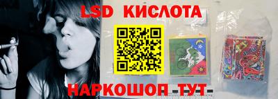 дживик Новозыбков