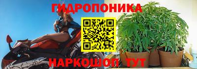ГАЛЛЮЦИНОГЕННЫЕ ГРИБЫ Новокубанск