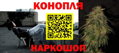 дживик Новозыбков