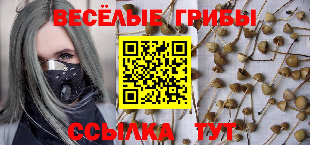 Галлюциногенные грибы GOLDEN TEACHER Ростов Великий