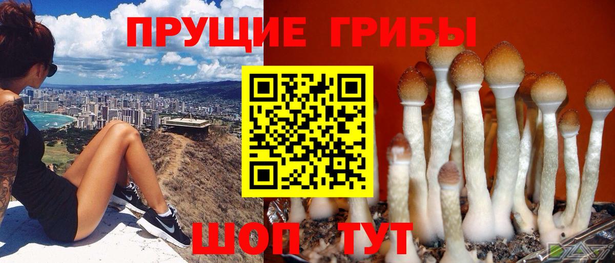 Псилоцибиновые грибы мицелий  Псилоцибиновые грибы Cubensis  Ростов Великий  Вход с VPN 